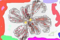 Олег Федько