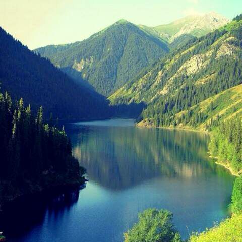 Аида Тыныбаева