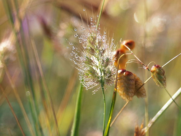Управление Статистики