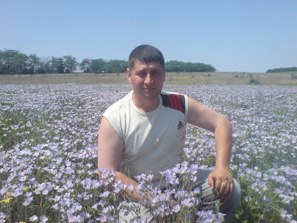 Александр Нестройный