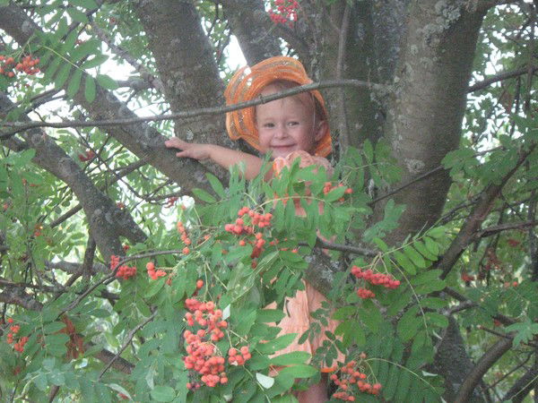 Николай Башкиров