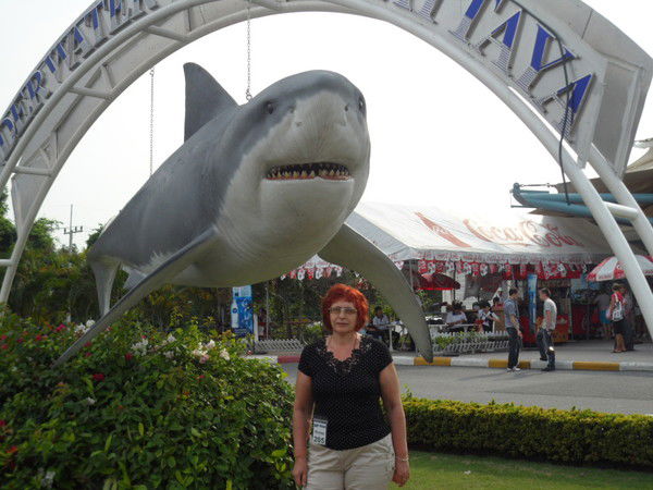 Удоденко Татьяна