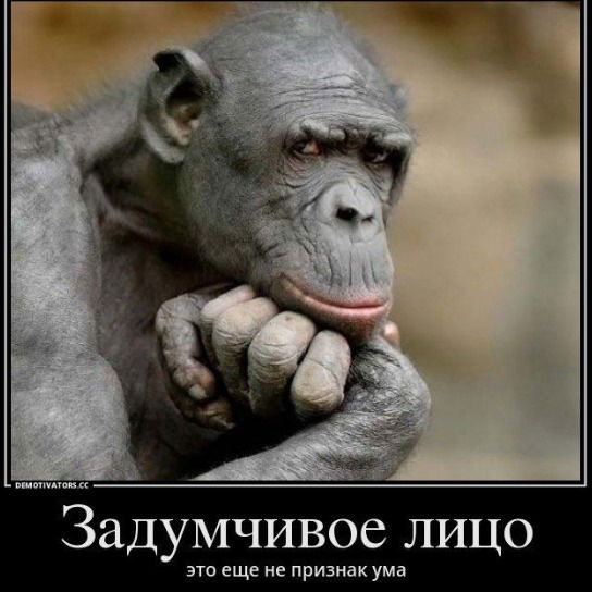 Александр Лаушкин