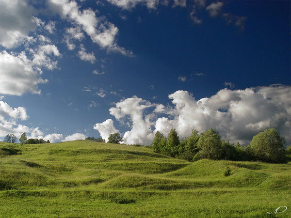 Дмитрий Чалых