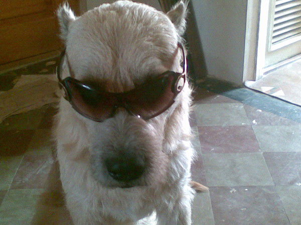 Евгений Лыгин