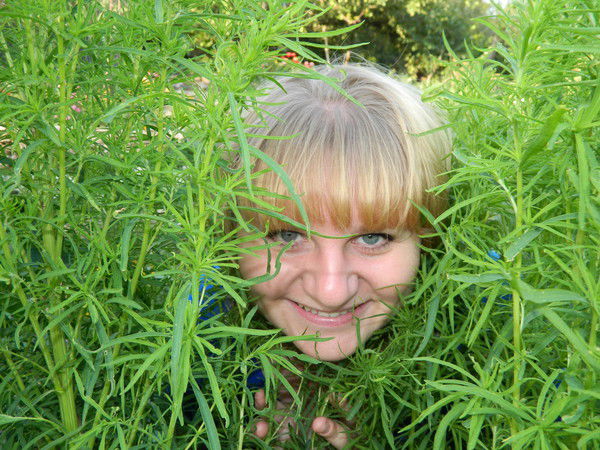 Наталия Дмитриенко