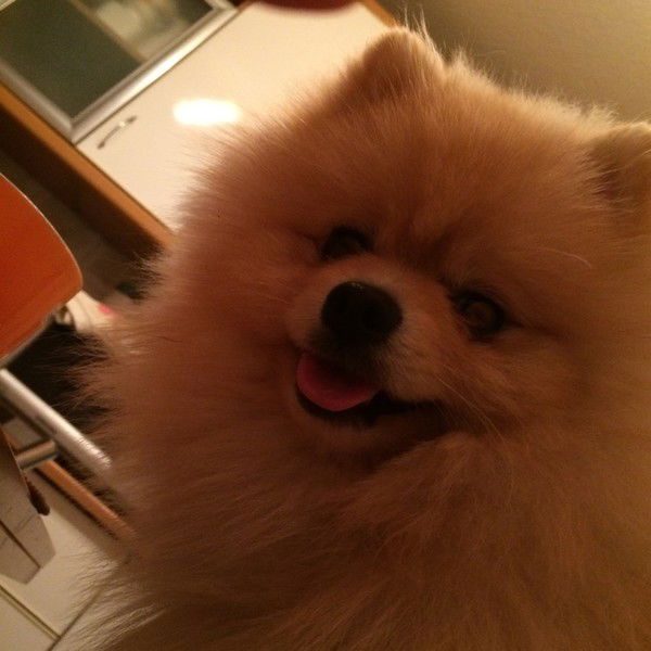 Сашулик Фомина