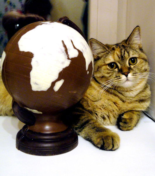 Алена Александровна