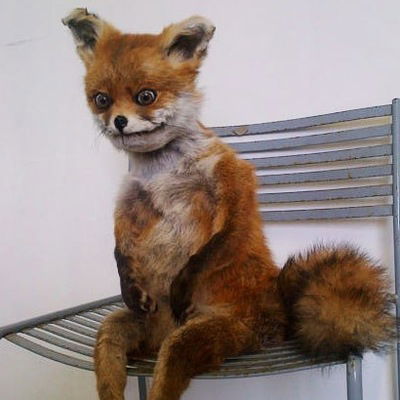 Родион Мандриков