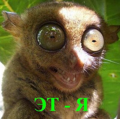 Николай Морозов