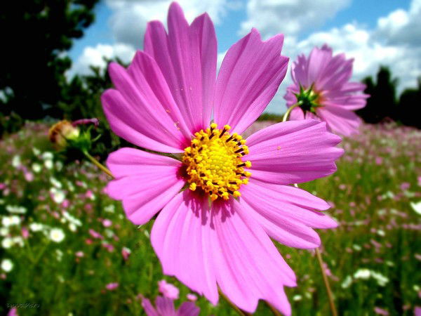 Наталья Кремлева