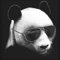 Виктор Кульков