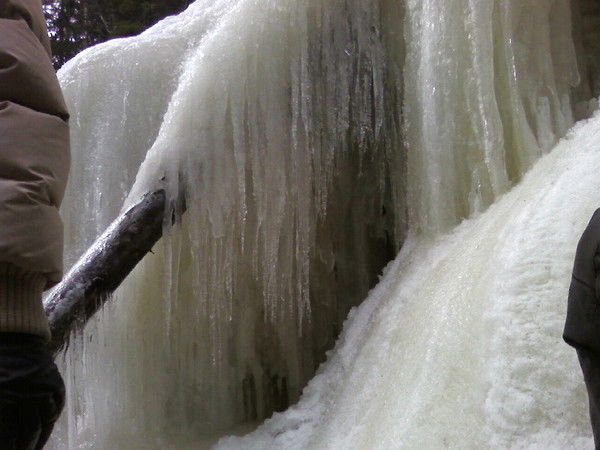 Галина Степанкова