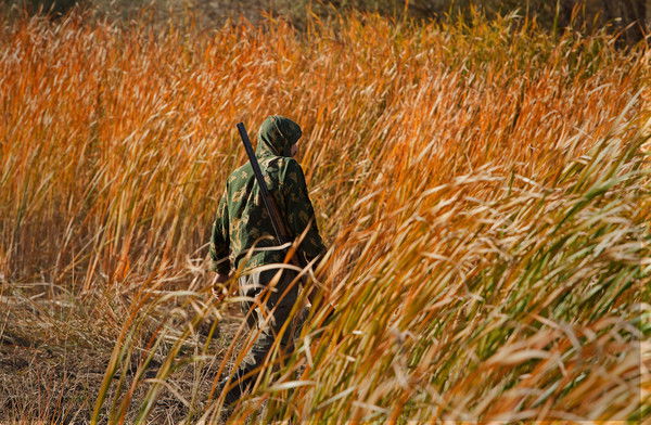 Сергей Воробьёв