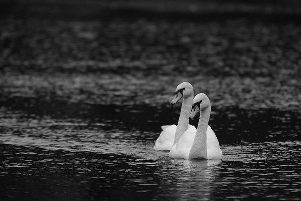 Татьяна Сиромаха