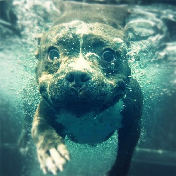 Юра Мерзликин