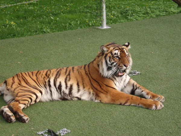 Александр Р