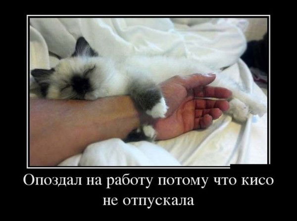 Металл Металл