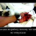 Металл Металл