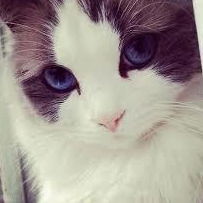 Анжела Попова