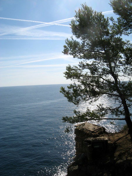 Евгений Шевченко