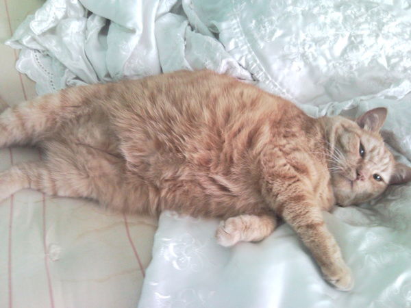 Виталий Злой!