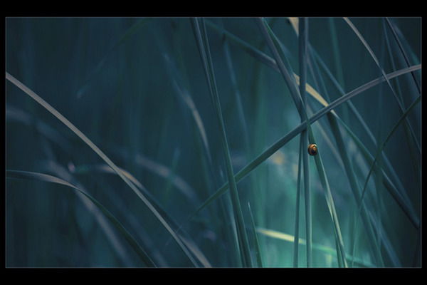 Дмитрий Иванов