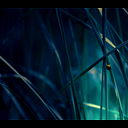 Дмитрий Иванов