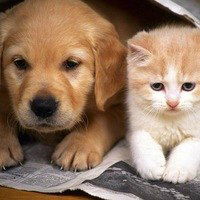 Даниил Каракинов