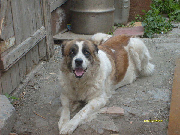 Татьяна Бабикова