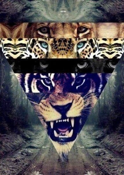 Алёна Родная