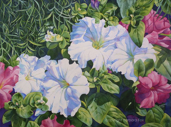 Дария Адилбаева