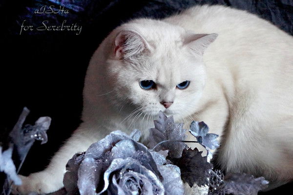 Ирина Мударисова