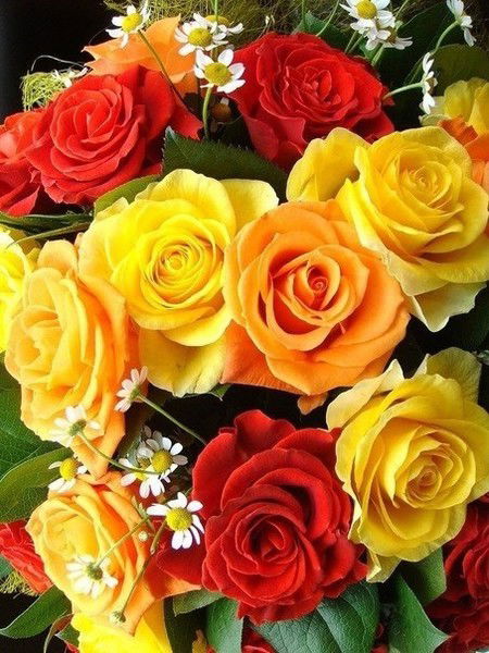 Афанасьева Юля