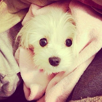 Сабина Новикова