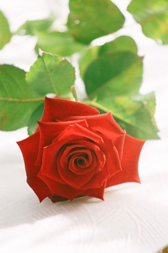 Отдел Аттестации