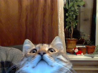 Юрий Кривошеин