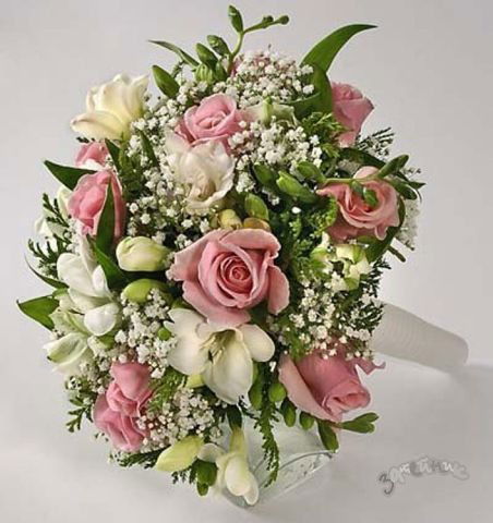 Светлана Панченко