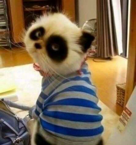 Алия Есмгалиева