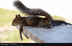 Алексей Михайлов