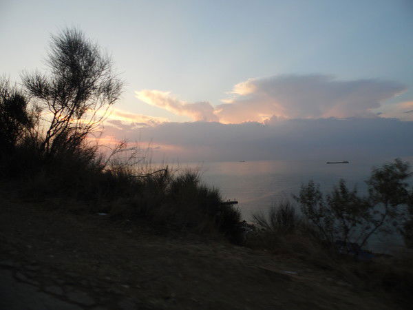 Роман Налисник