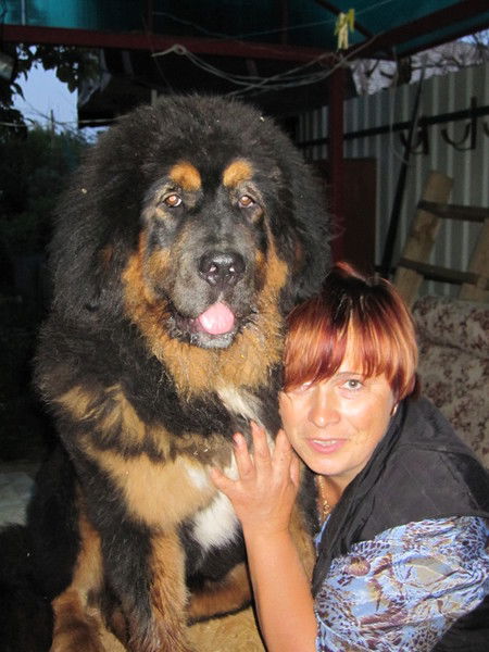 Светлана Мишина