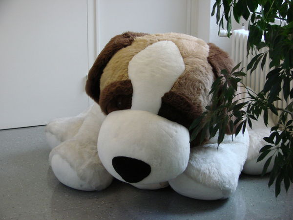 Сергей Курзанов