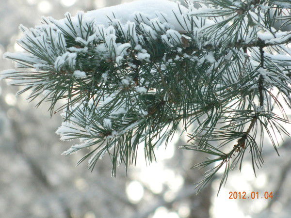 Олег Розенблат