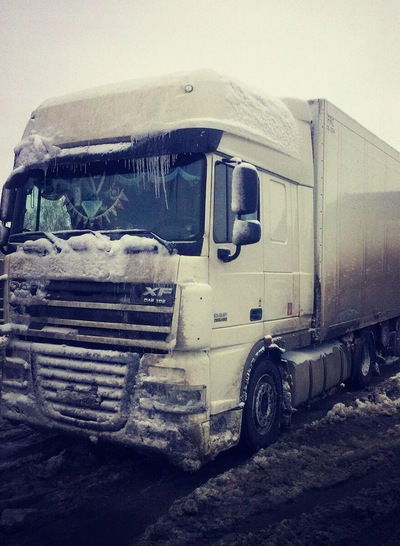 Рустам Газиев