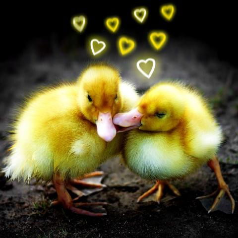 Татьяна Микулинская