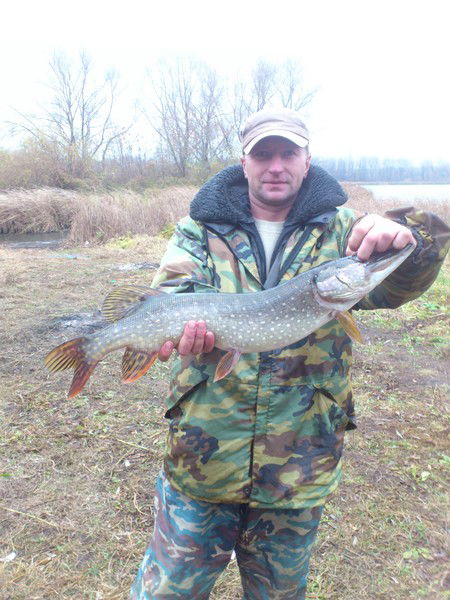 Андрей Лапин