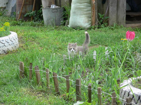 Анна Кусакина (Соболева)