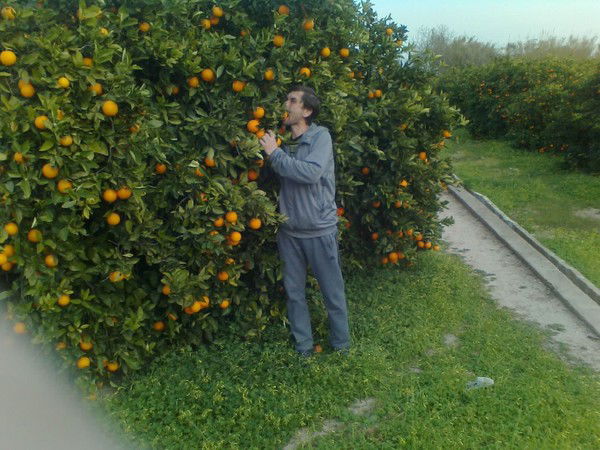 Игорь Миняйло