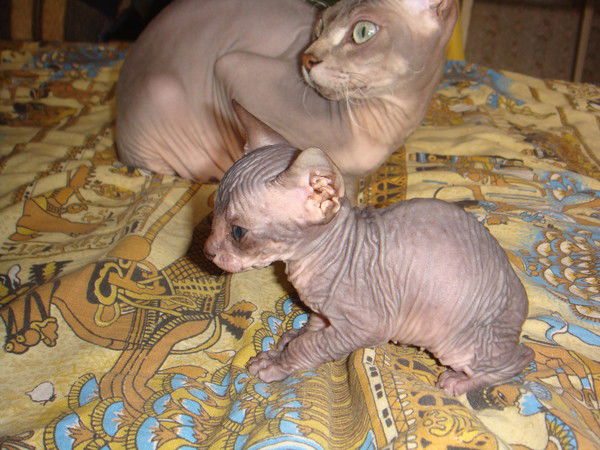 Надежда Половинко